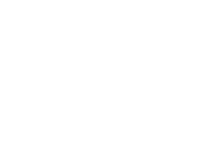 logo footer Hotel de Mascotas