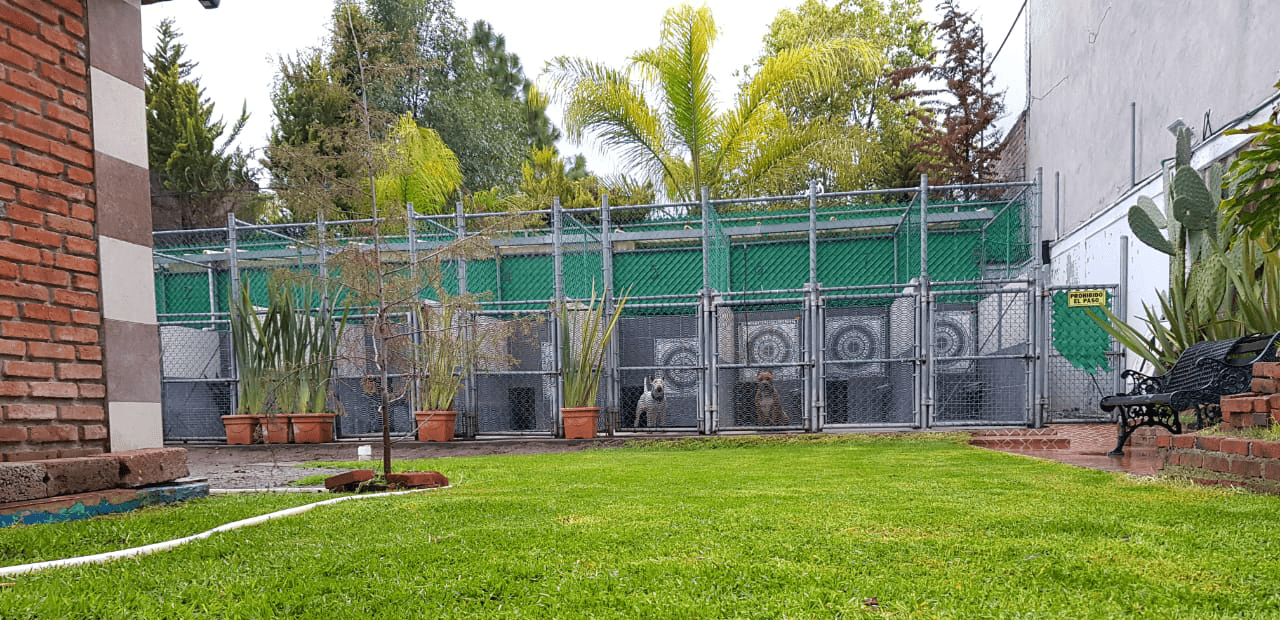 Instalaciones del hotel de mascotas